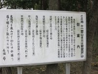 IMG (133)